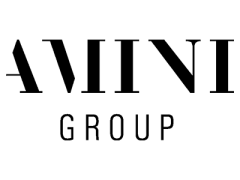 Logo & Link zum Amini Group Case